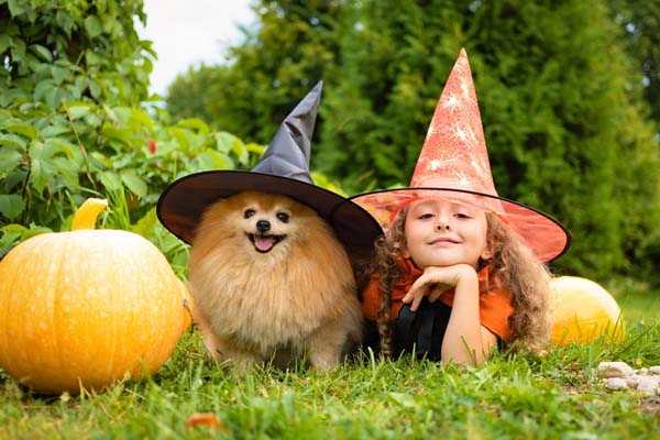 Spooktacular Halloween Safety Tips for Pet Owners from a 24-Hour Vet